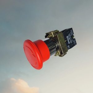 LAY5-BS542 PULSADOR PARADA EMERGENCIA 22mm MAXYM