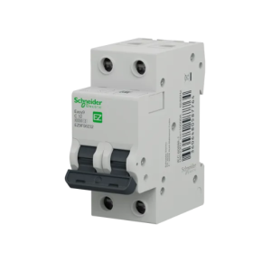 Int. Termomag. Easy9 2x32 EZ9F56232  : SCHNEIDER EZ